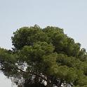 DayB - 409